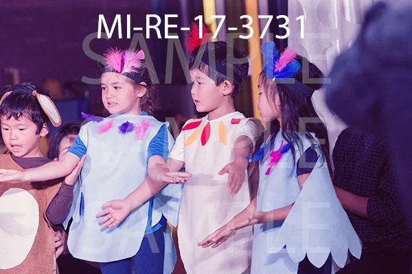 MI-RE-17-3731.jpg