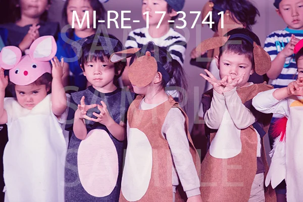 MI-RE-17-3741.jpg