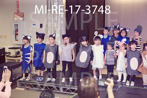 MI-RE-17-3748.jpg