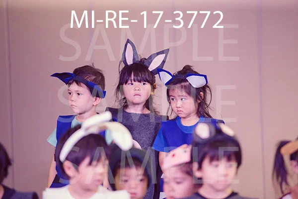 MI-RE-17-3772.jpg