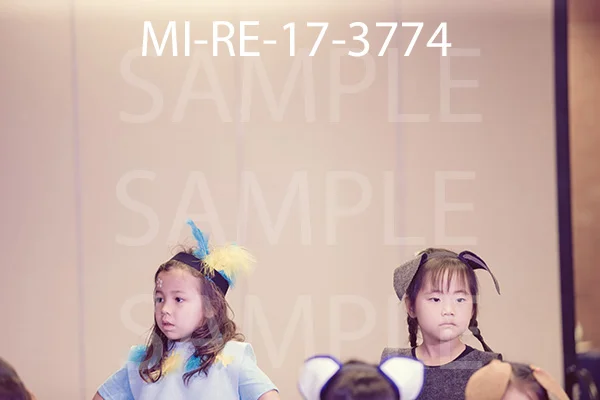 MI-RE-17-3774.jpg