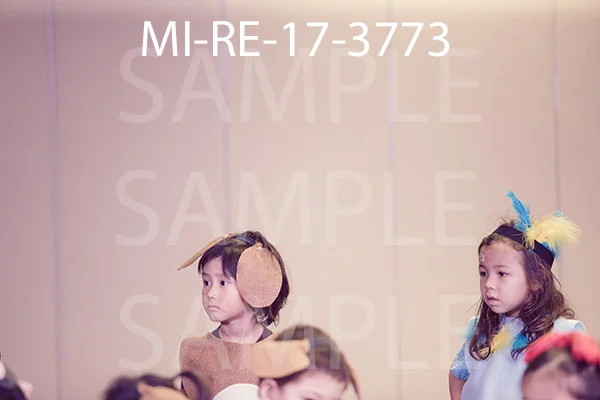 MI-RE-17-3773.jpg