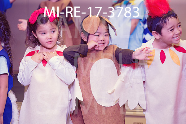 MI-RE-17-3783.jpg