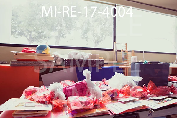 MI-RE-17-4004.jpg