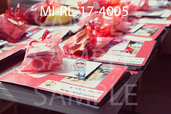 MI-RE-17-4005.jpg