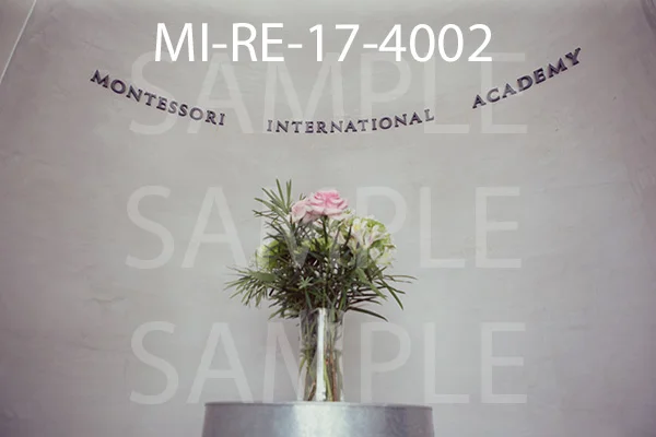 MI-RE-17-4002.jpg