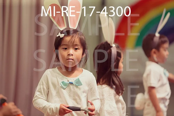 MI-RE-17-4300.jpg