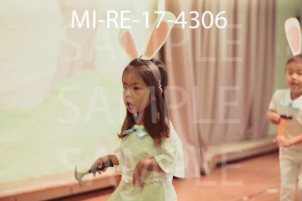 MI-RE-17-4306.jpg