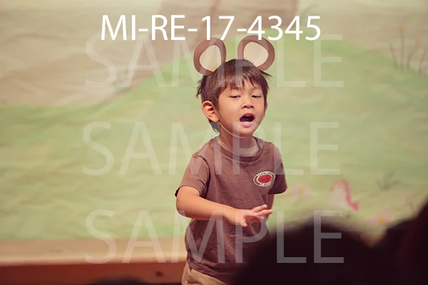 MI-RE-17-4345.jpg