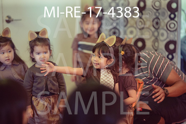 MI-RE-17-4383.jpg