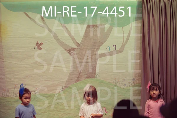 MI-RE-17-4451.jpg