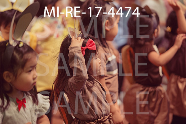 MI-RE-17-4474.jpg