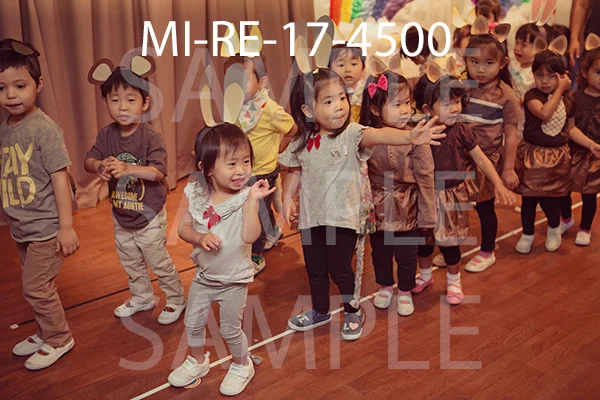MI-RE-17-4500.jpg
