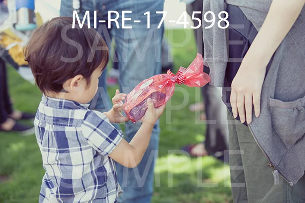 MI-RE-17-4598.jpg