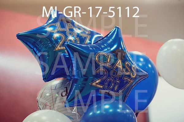 MI-GR-17-5112.jpg