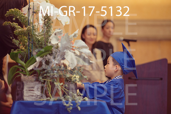 MI-GR-17-5132.jpg