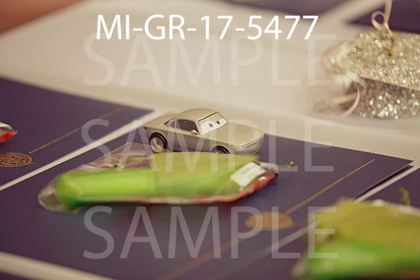 MI-GR-17-5477.jpg