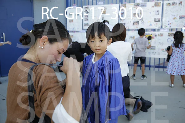 RC-GR-17-3010.jpg