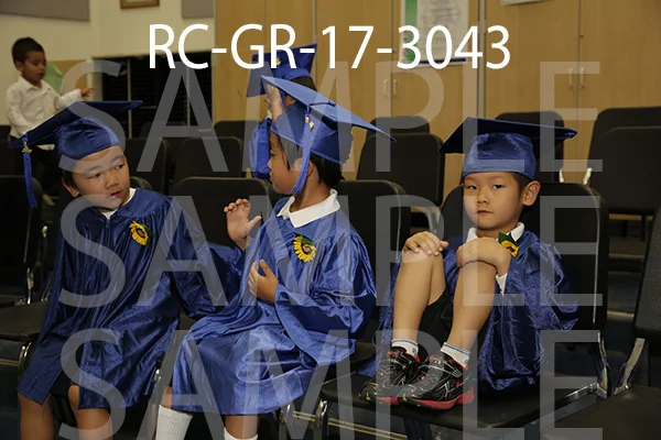 RC-GR-17-3043.jpg