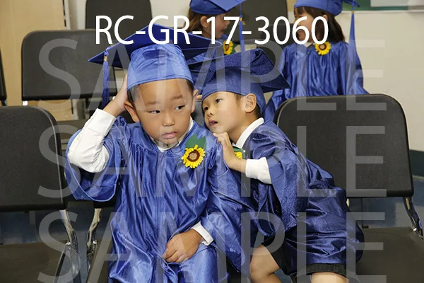 RC-GR-17-3060.jpg