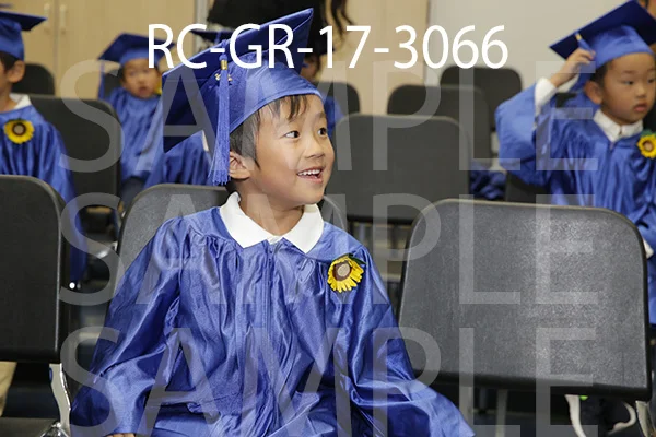 RC-GR-17-3066.jpg