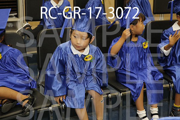 RC-GR-17-3072.jpg