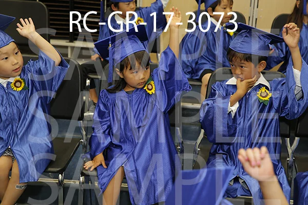 RC-GR-17-3073.jpg