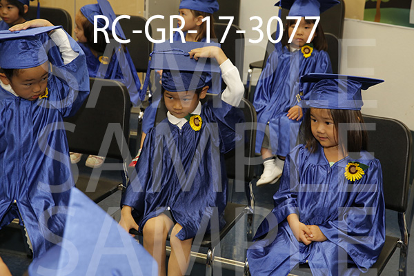 RC-GR-17-3077.jpg