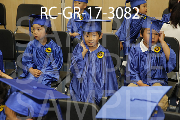 RC-GR-17-3082.jpg