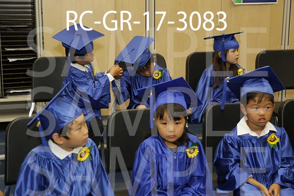 RC-GR-17-3083.jpg