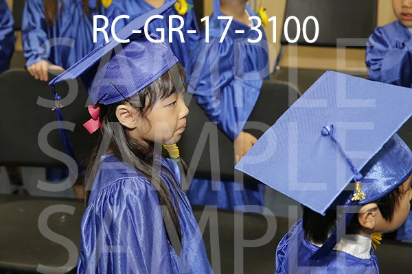 RC-GR-17-3100.jpg