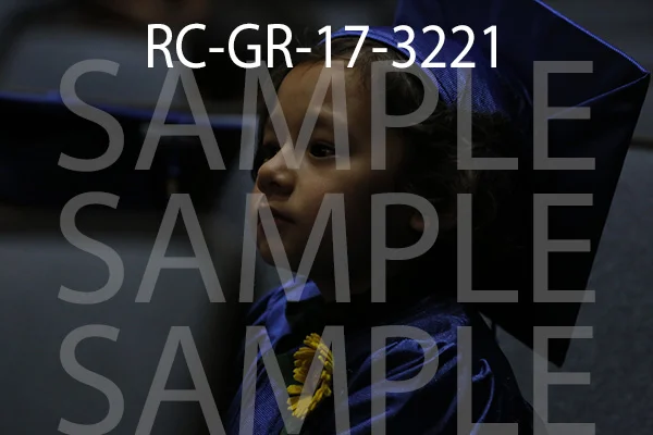 RC-GR-17-3221.jpg