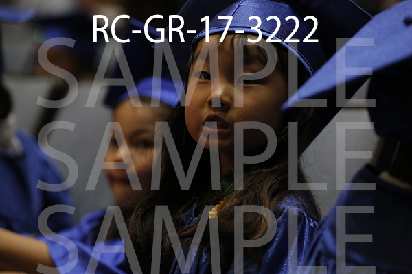 RC-GR-17-3222.jpg