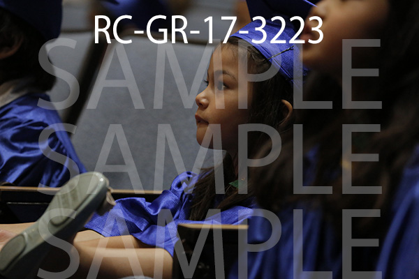 RC-GR-17-3223.jpg