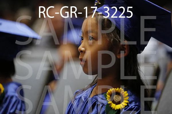 RC-GR-17-3225.jpg