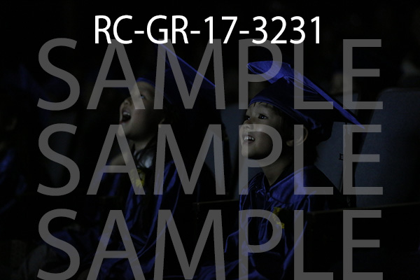 RC-GR-17-3231.jpg