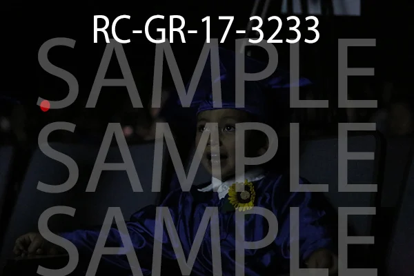 RC-GR-17-3233.jpg