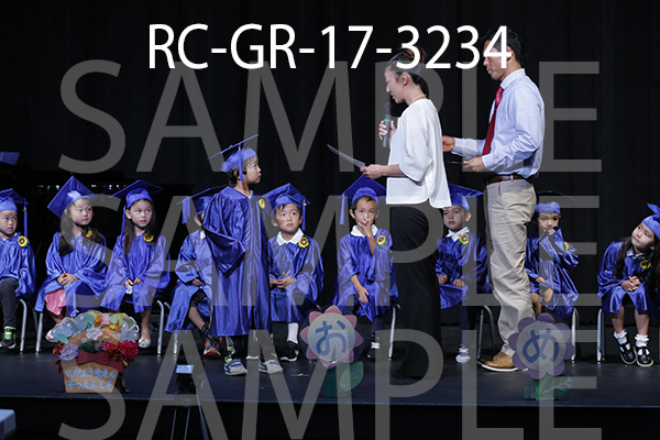 RC-GR-17-3234.jpg