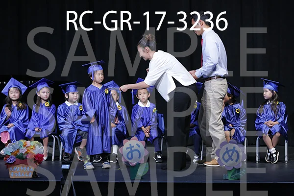 RC-GR-17-3236.jpg