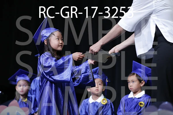 RC-GR-17-3253.jpg