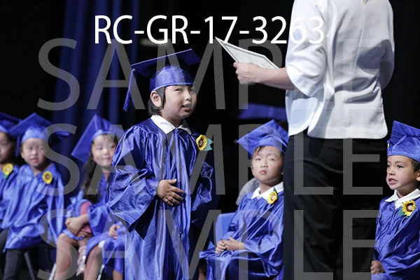 RC-GR-17-3263.jpg