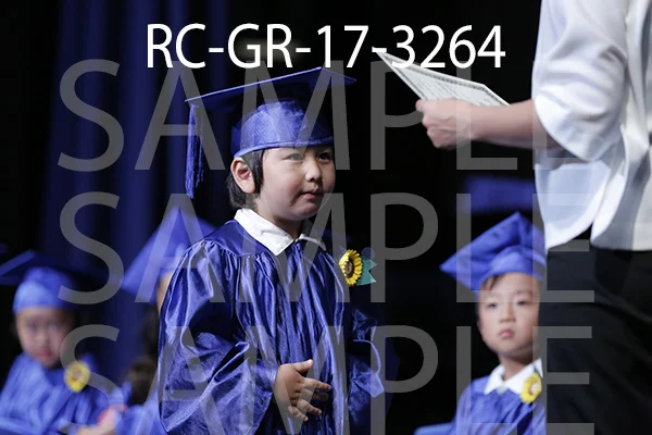 RC-GR-17-3264.jpg
