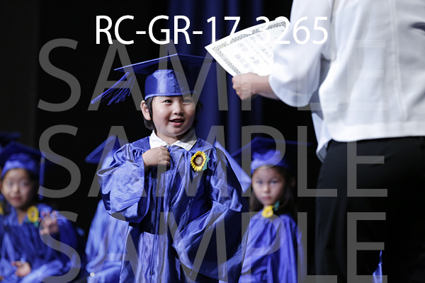 RC-GR-17-3265.jpg