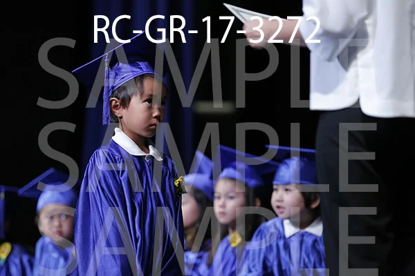 RC-GR-17-3272.jpg