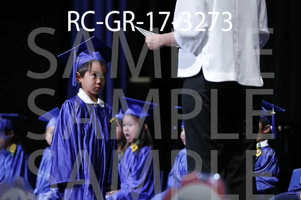 RC-GR-17-3273.jpg