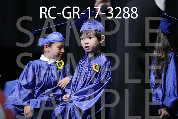 RC-GR-17-3288.jpg