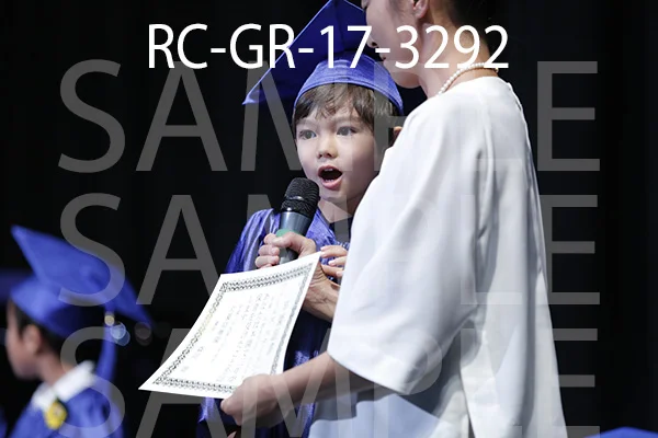 RC-GR-17-3292.jpg