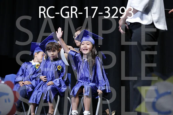RC-GR-17-3293.jpg