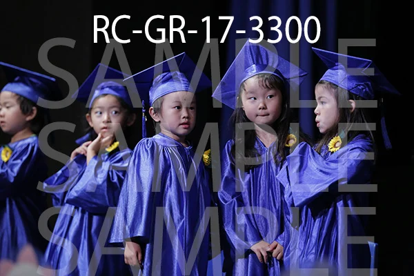 RC-GR-17-3300.jpg