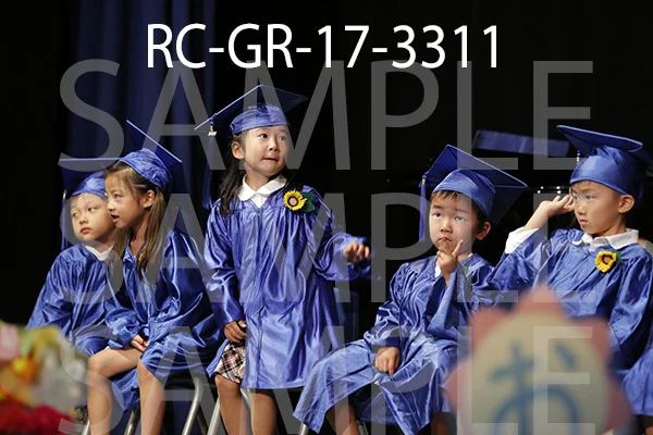 RC-GR-17-3311.jpg